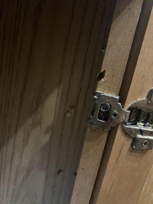 Carrington at Champion Forest