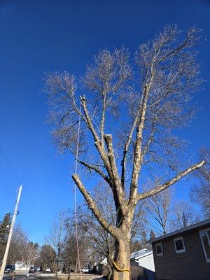 Albright Enterprises