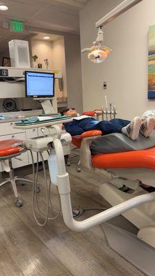 Little Shredders Dental