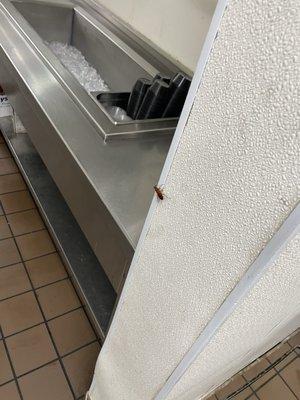 Franklin Park Sonterra