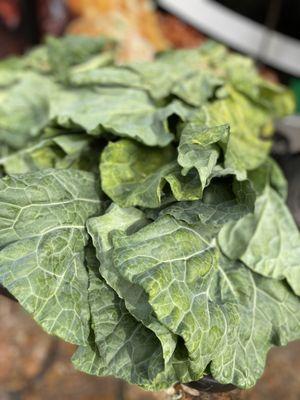 Bright Light Catering