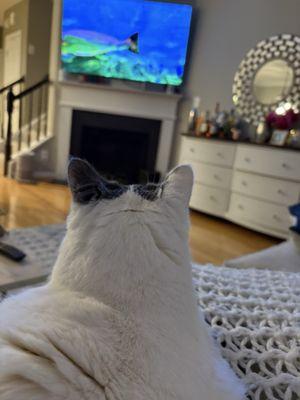 Bennie is healthy again!