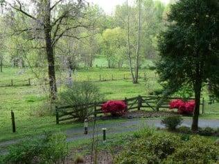 Rhonda Ferrell, LPC Healthy Solutions Counseling