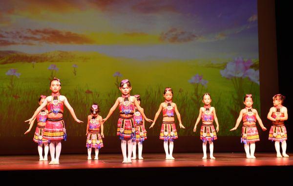 American Chinese Culture Art Troupe 美中文化艺术团