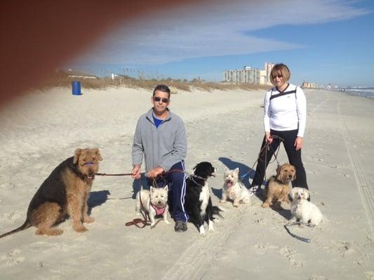 Pack of Patriots Dog Boarding and Training