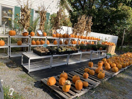 Blooming Valley Farms