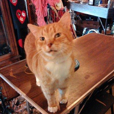 Crystal Expectations & Natural Health Products