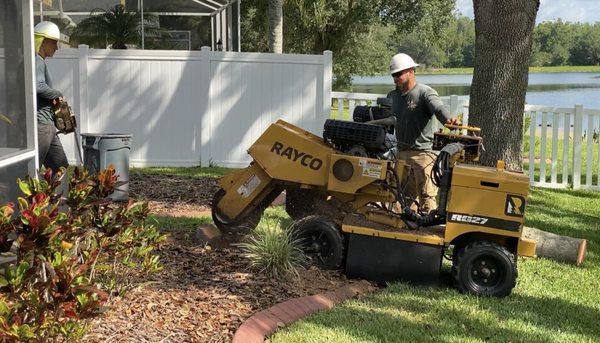 Juan Sanchez Tree Service