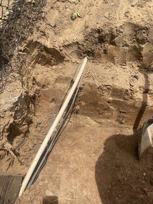 Takapu Complete Hardscape & Softscape