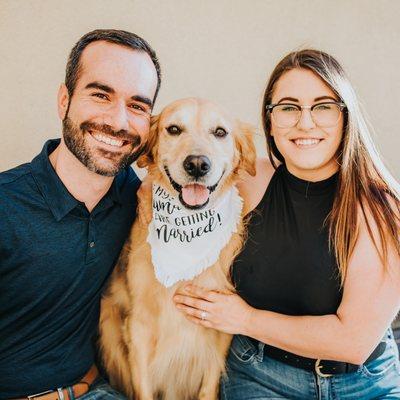 New Habits Dog Training