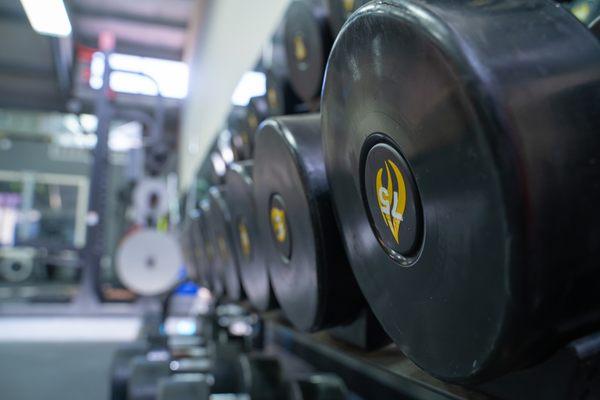 Elevate U Performance