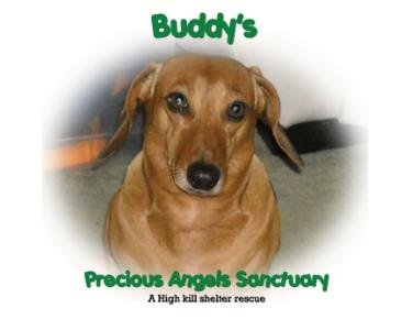 Buddy's Precious Angels Sanctuary