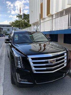 New Vehicle in House 2016 Cadillac Escalade Esv Premium
