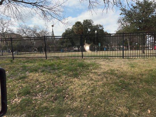 Madison Square Dog Park