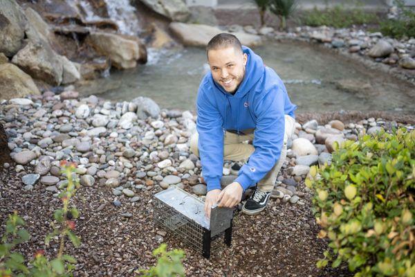 Russell Pest Control