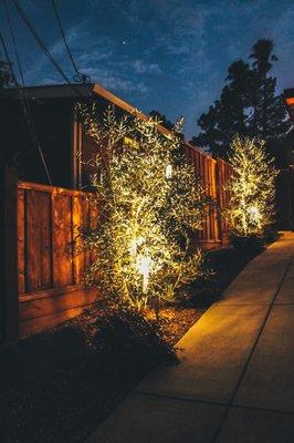 Defensible Space Pros