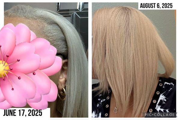 Color difference from June 2025 to August 6, 2025. Where it was platinum blonde to now a yellowish, patchy, and uneven color.