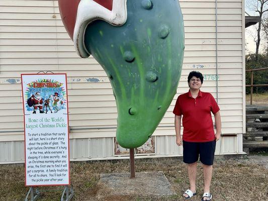 Worlds Largest Christmas Pickle