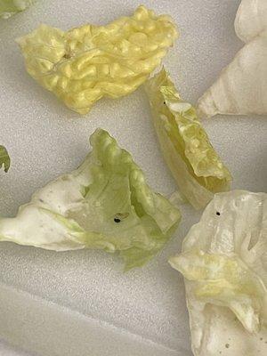 Numero Uno Pizza | Santa Clarita