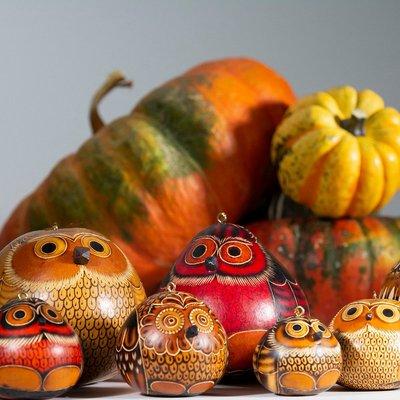 Lucy and the Green Wolf