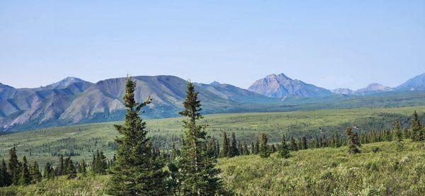 Denali National Park