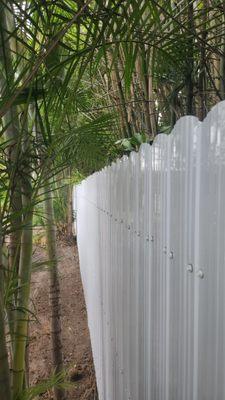 Juan Javier General Services