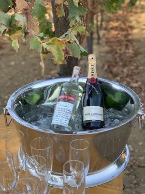 David Salgado Catering