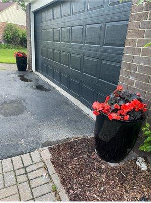 Aquapots planters and beautiful flowers from Sprouts Fenton.