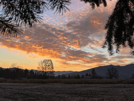 Sunrise over the fields