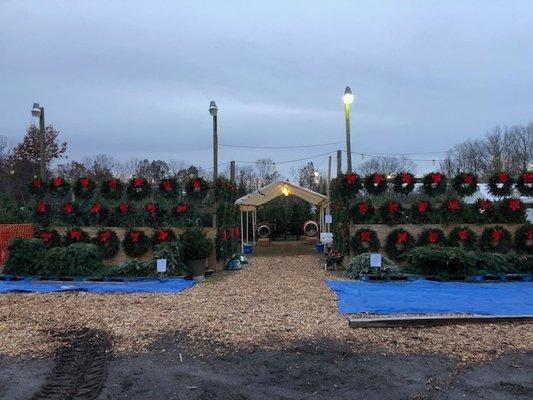 Come Visit our Forest of Trees