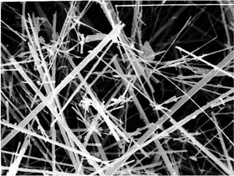 Got Asbestos?
Know what you have.....