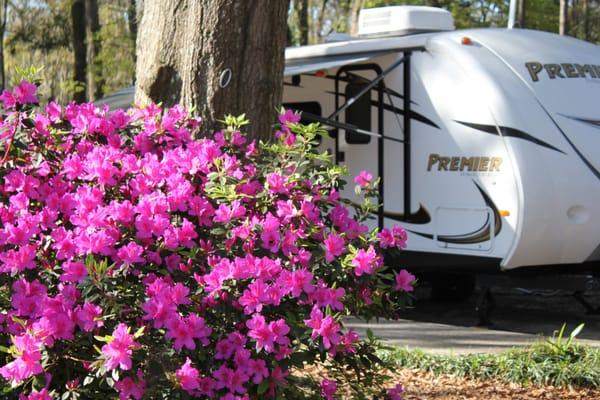 Biltmore RV Park