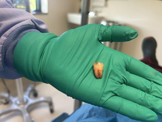 Oral Surgeons - Ankeny