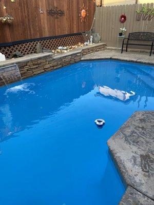 Modesto Pool Cleaning & Maintenance