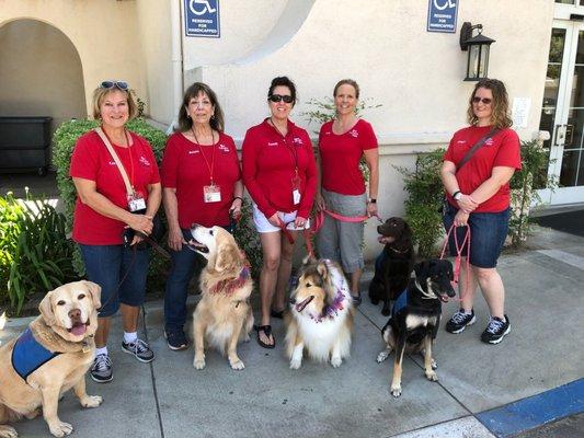 Pet Prescription Team