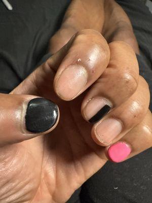 Paradise Nails & Spa