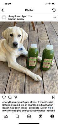 Green 3 Cold Pressed Juice