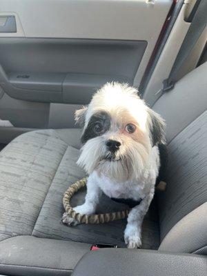 Outcome photo: 110 Nelson