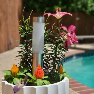 Stylish Rooms and Decor