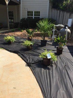 BuGLe Lawn & Landscape Design