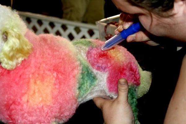 Paws and Relax Pet Spa