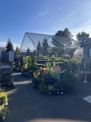 Fortuna Ace Hardware & Garden