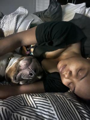 Arlington Animal Shelter