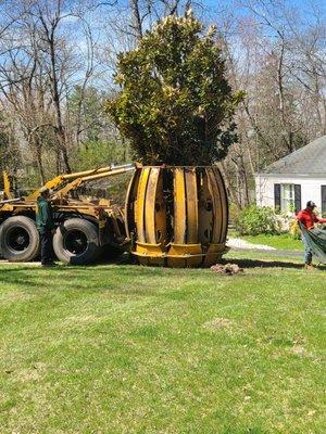 Jr Vasquez Tree Service
