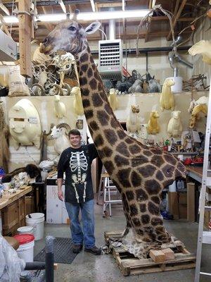 Tall Tales Taxidermy