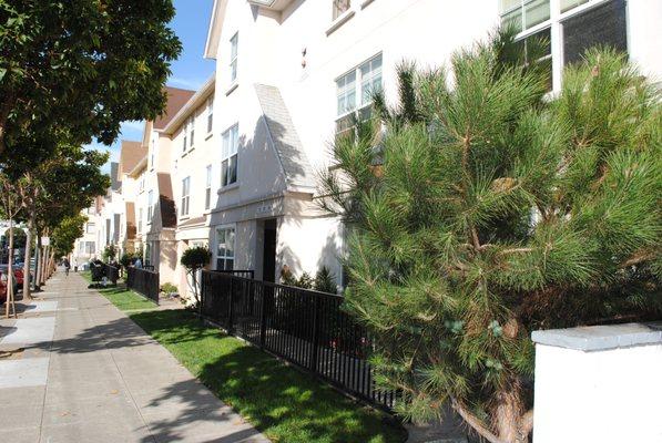 Hayes Valley Apartments