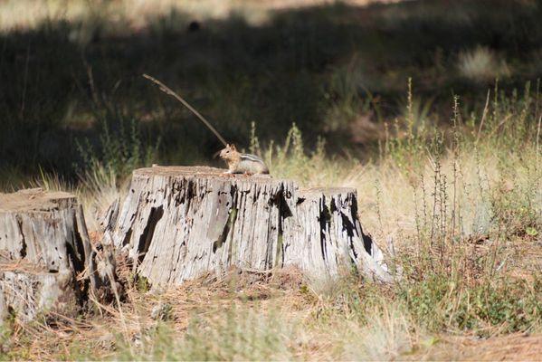 Quinn River Campground