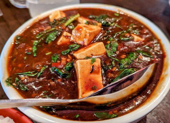 Palak Paneer Manchurian ($13.95)