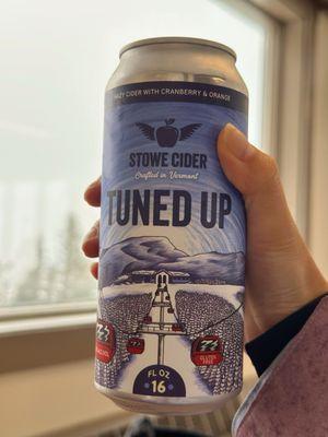 Stowe Mountain Resort - "Perfect Location"