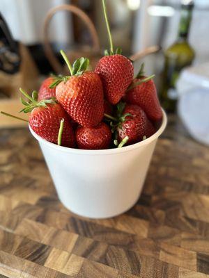 Kenny's Strawberry Farm